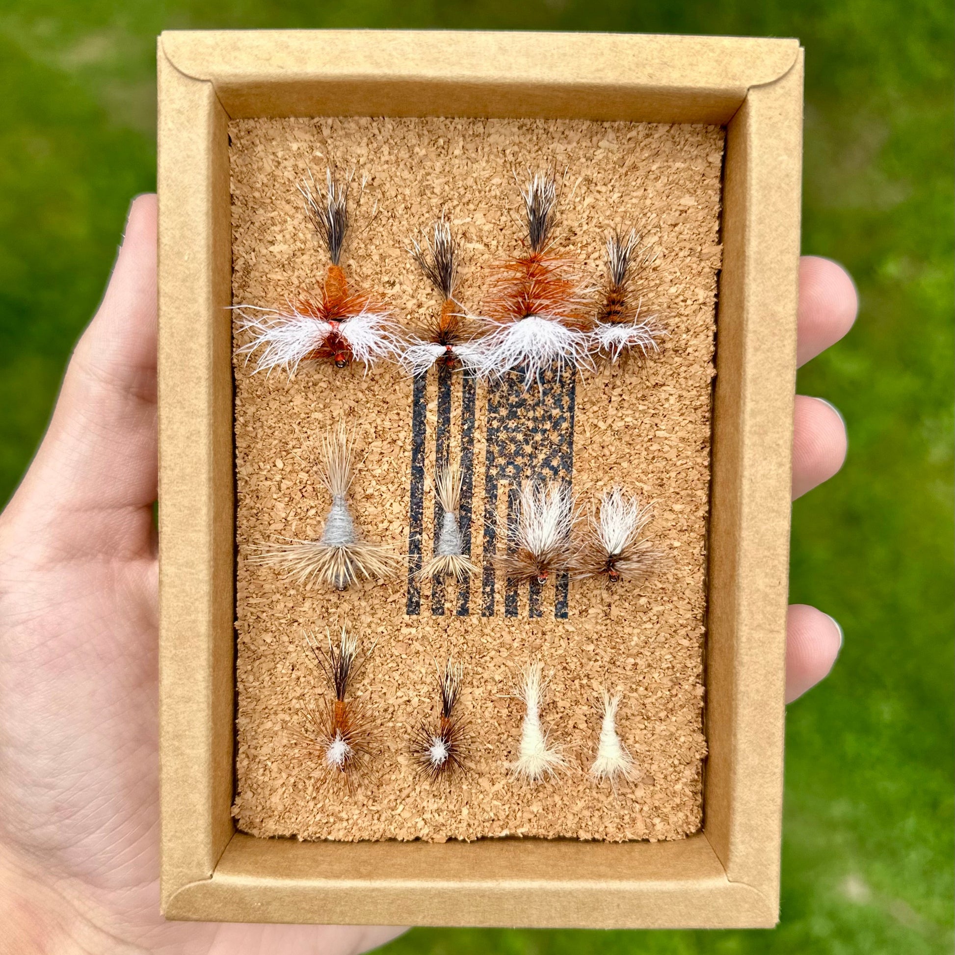 ausable assortment top view