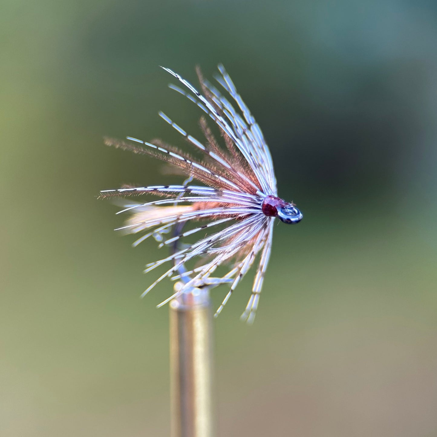 brown soft hackle photo