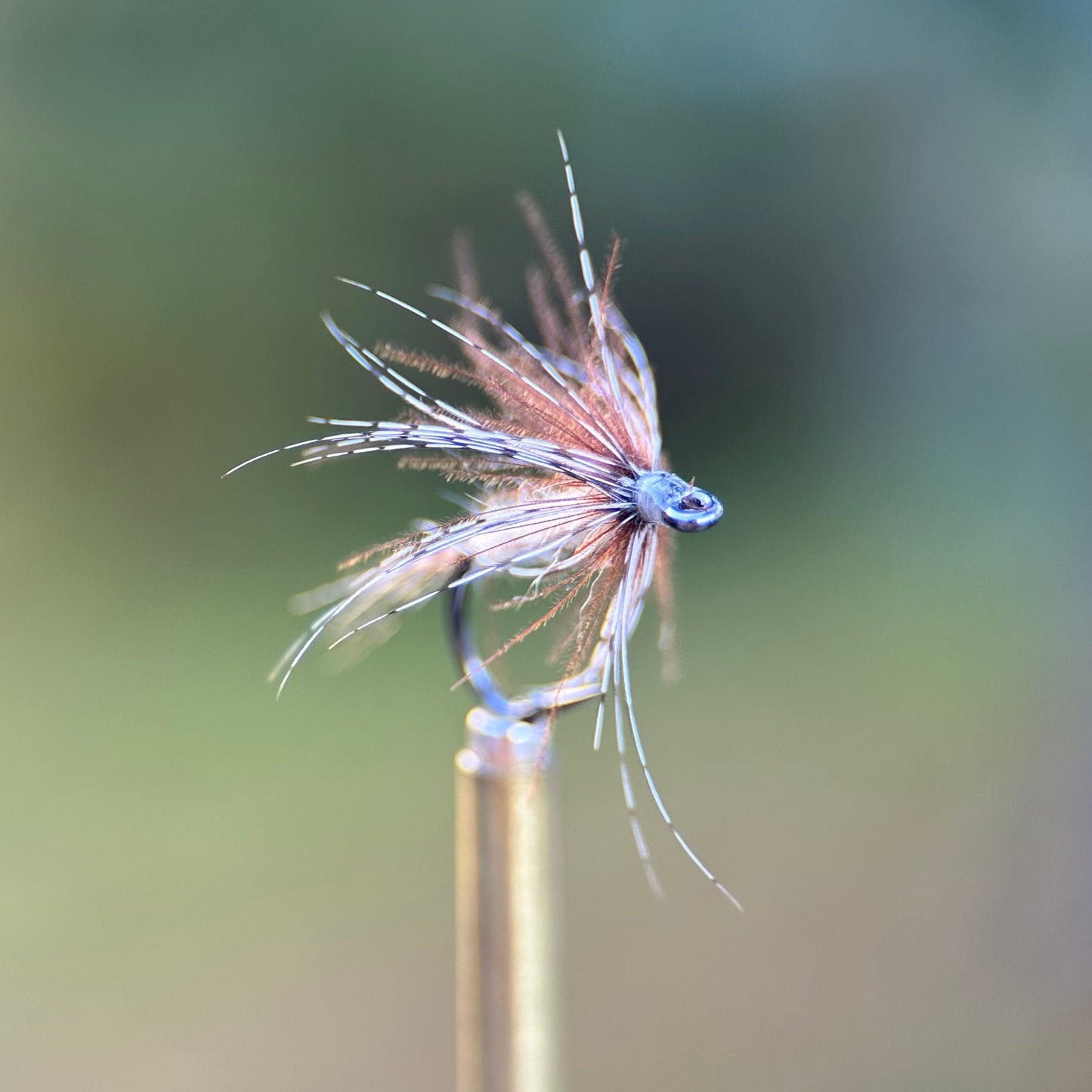 cream soft hackle photo
