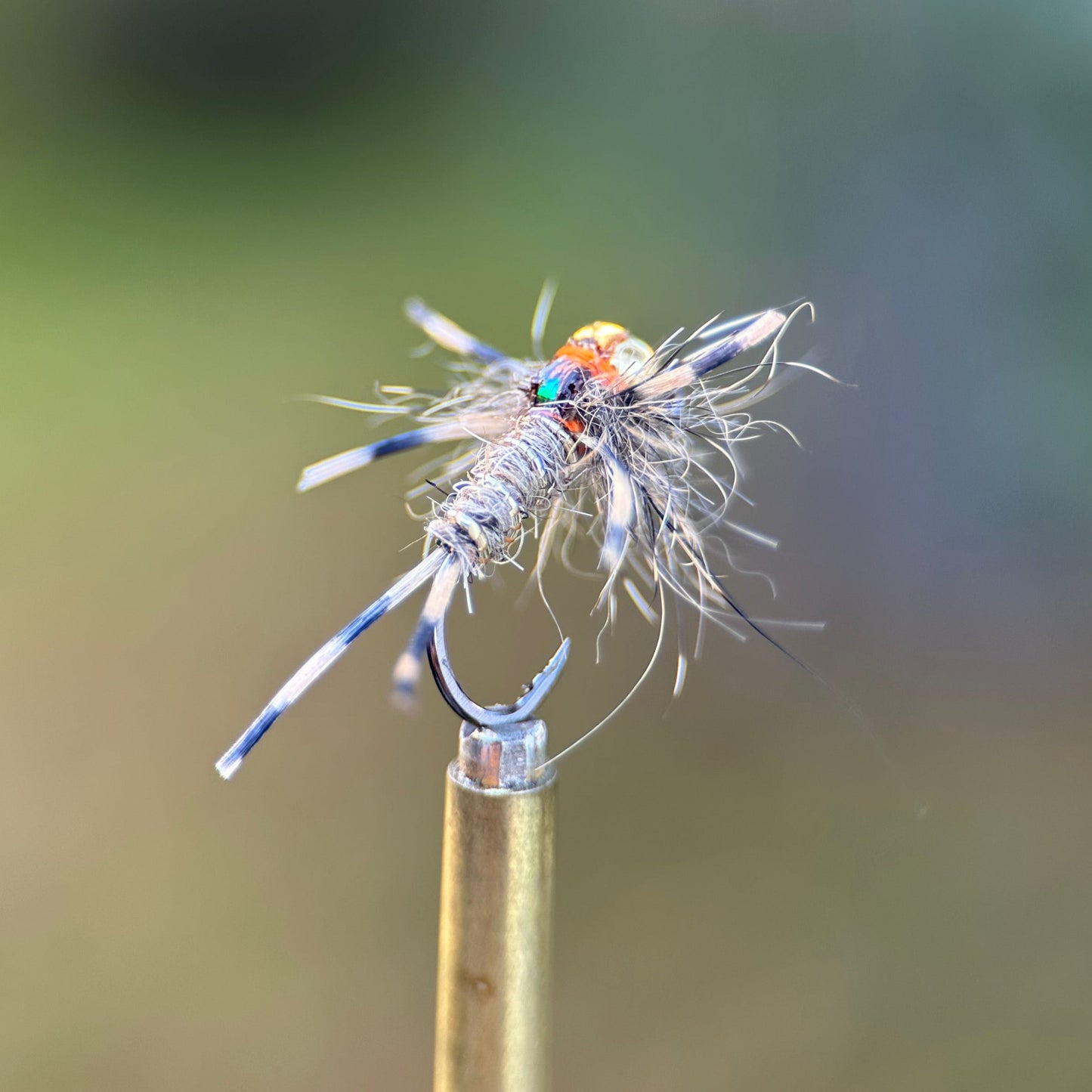 euro style rubber leg hares ear nymph photo