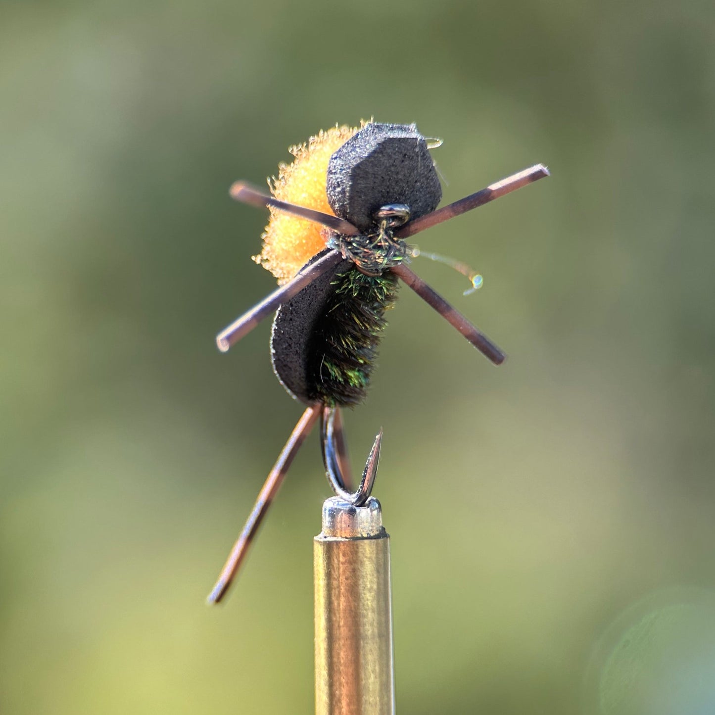 foam beetle dry fly photo