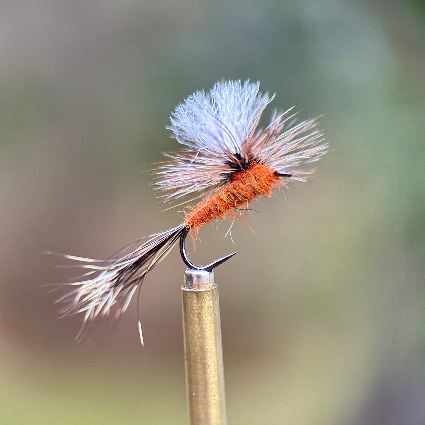 ausable parachute dry fly fran betters