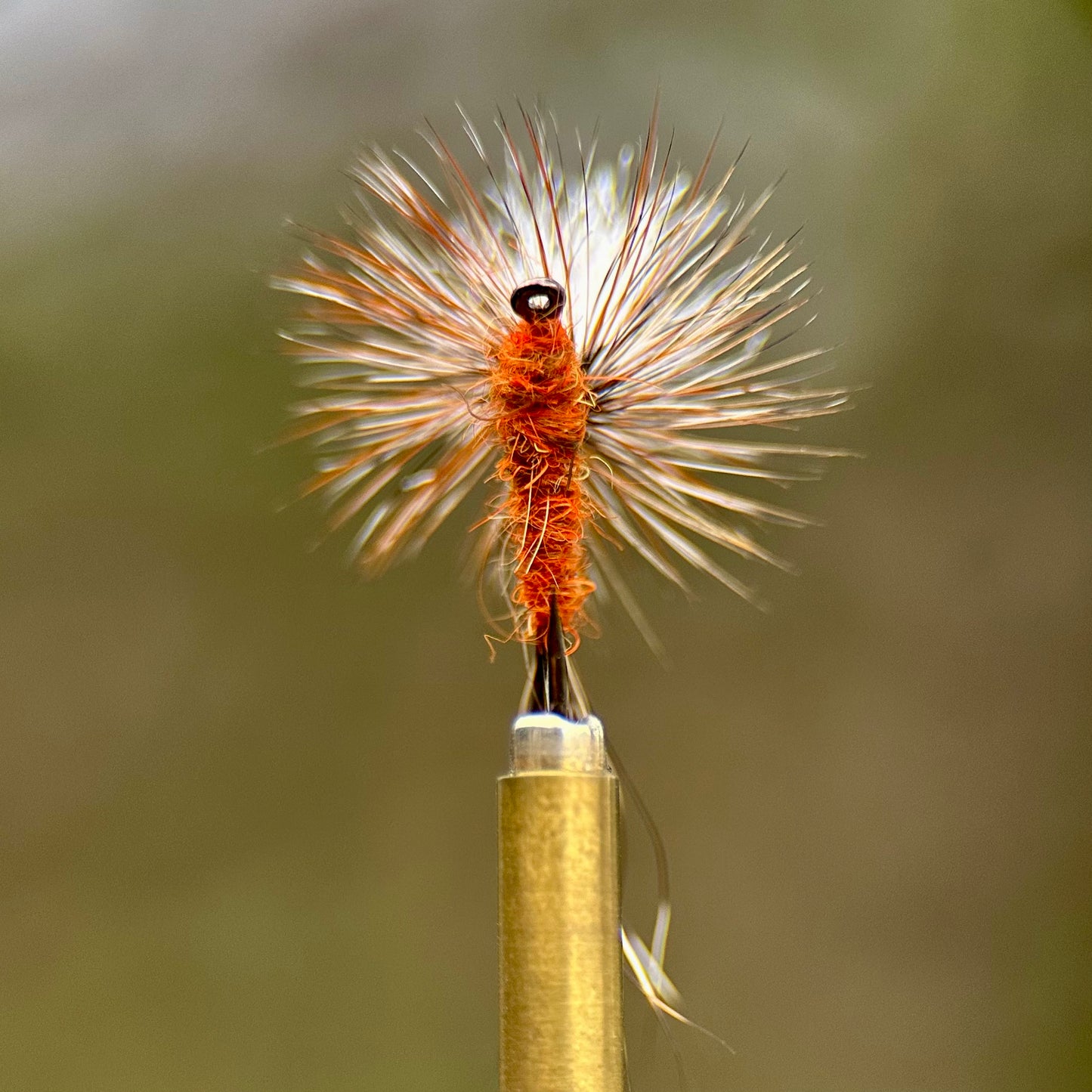 ausable parachute dry fly fran betters