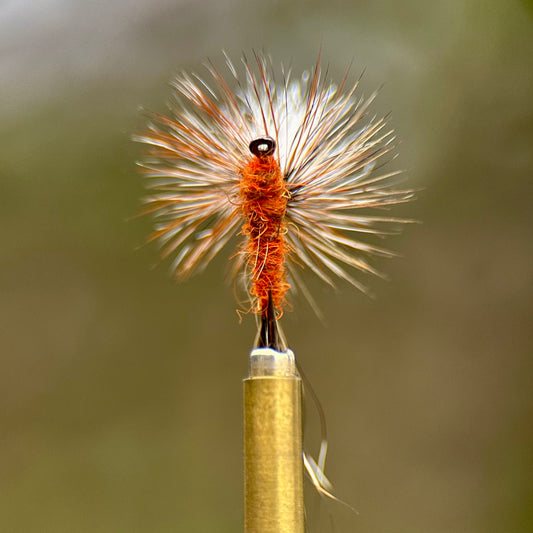 ausable parachute dry fly fran betters