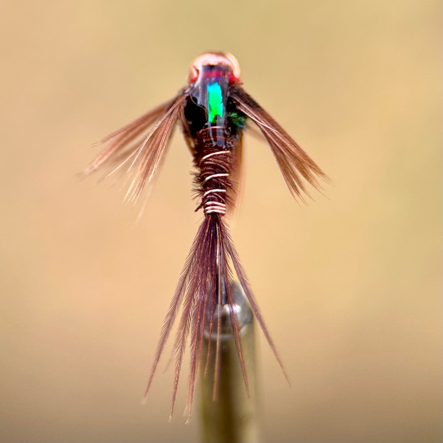 euro pheasant tail nymph