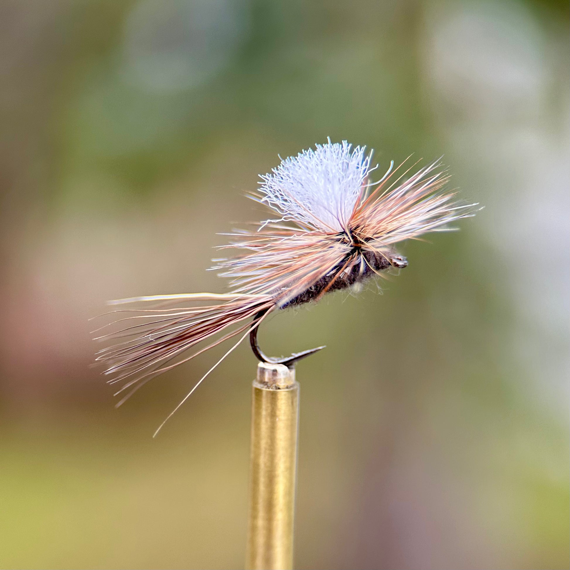 parachute adams dry fly