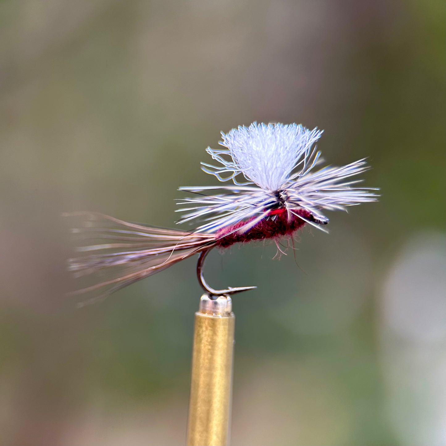 isonychia parachute dry fly