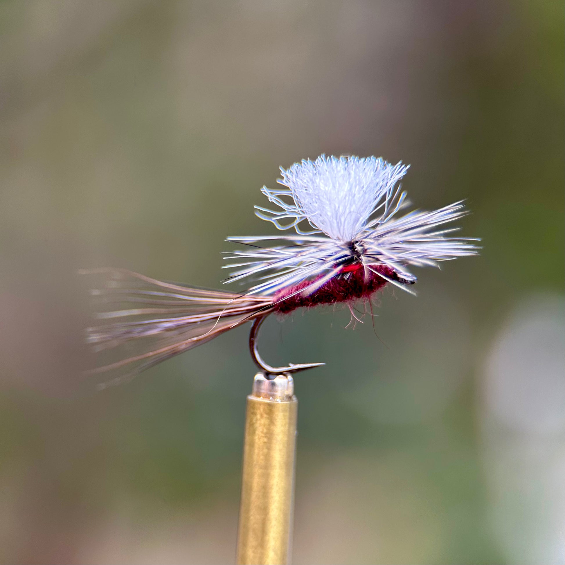 isonychia parachute dry fly
