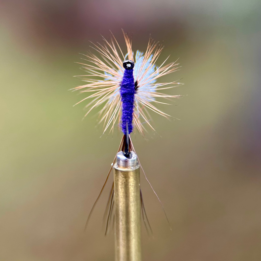 purple haze parachute dry fly