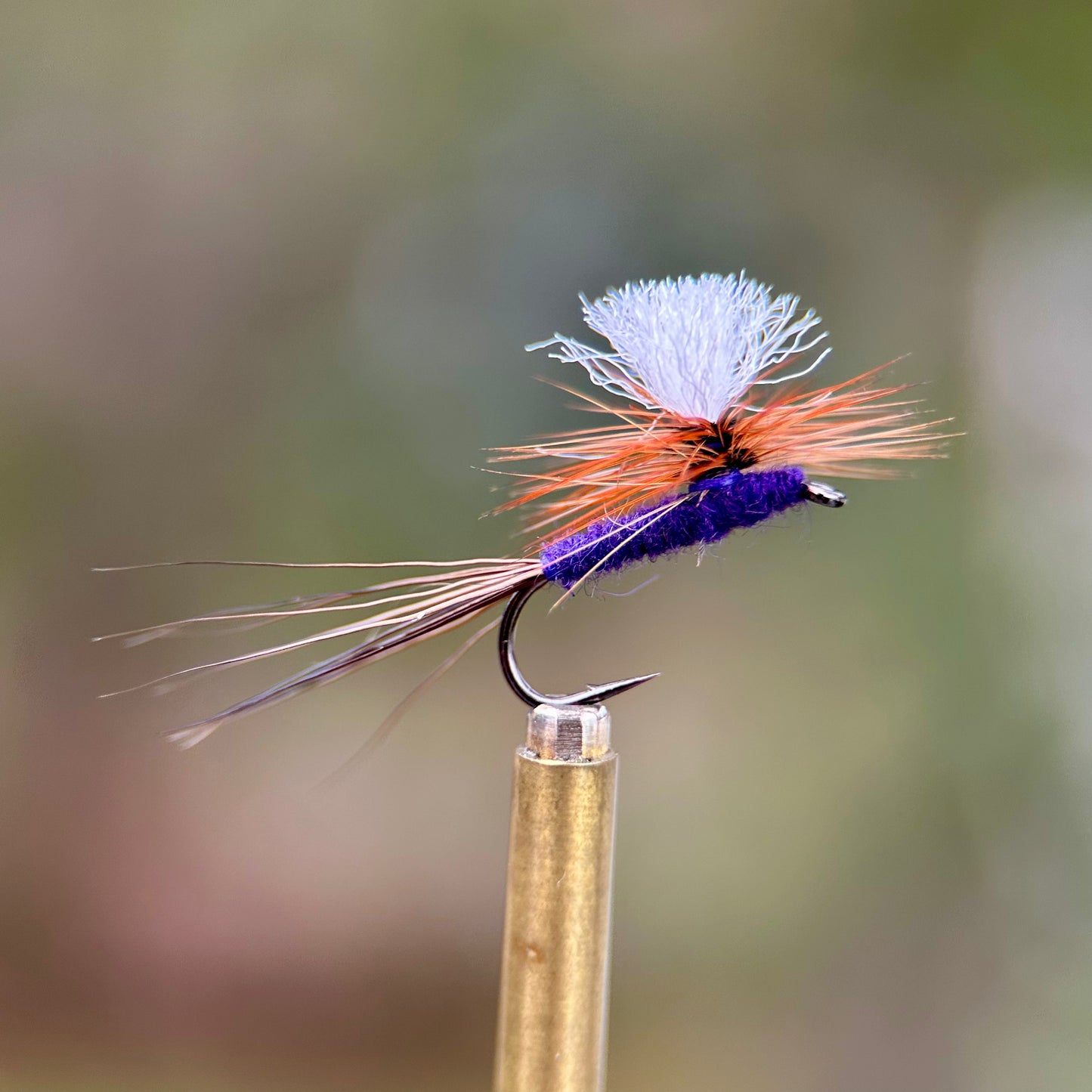 purple haze parachute dry fly