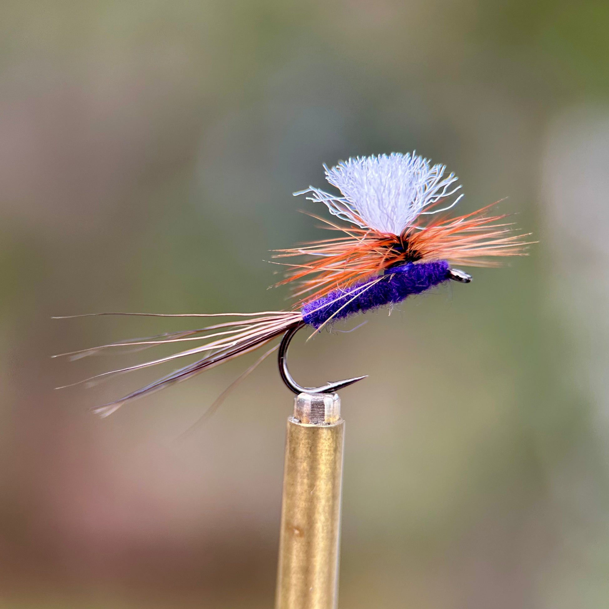 purple haze parachute dry fly
