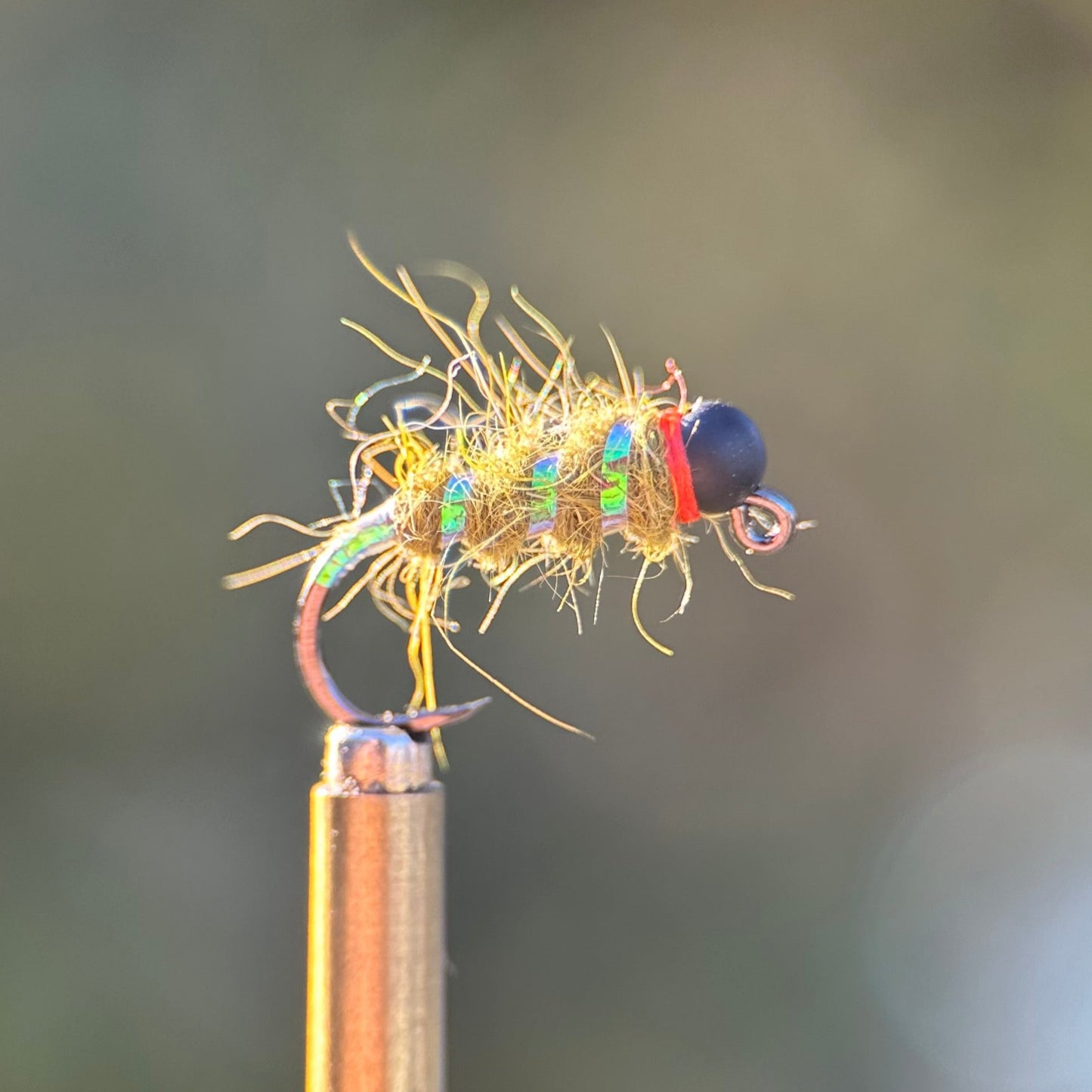 olive sexy walts nymph photo