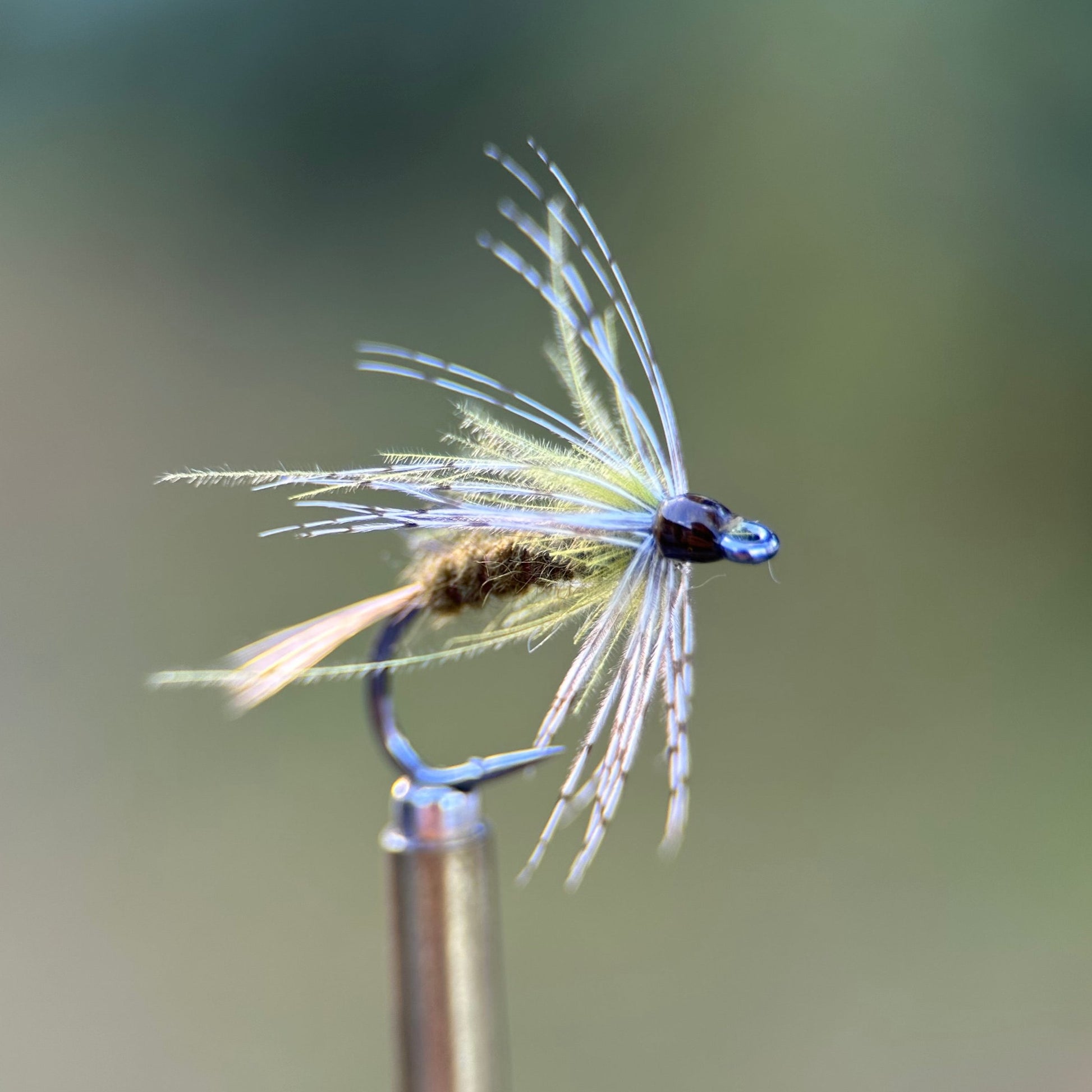 olive soft hackle photo