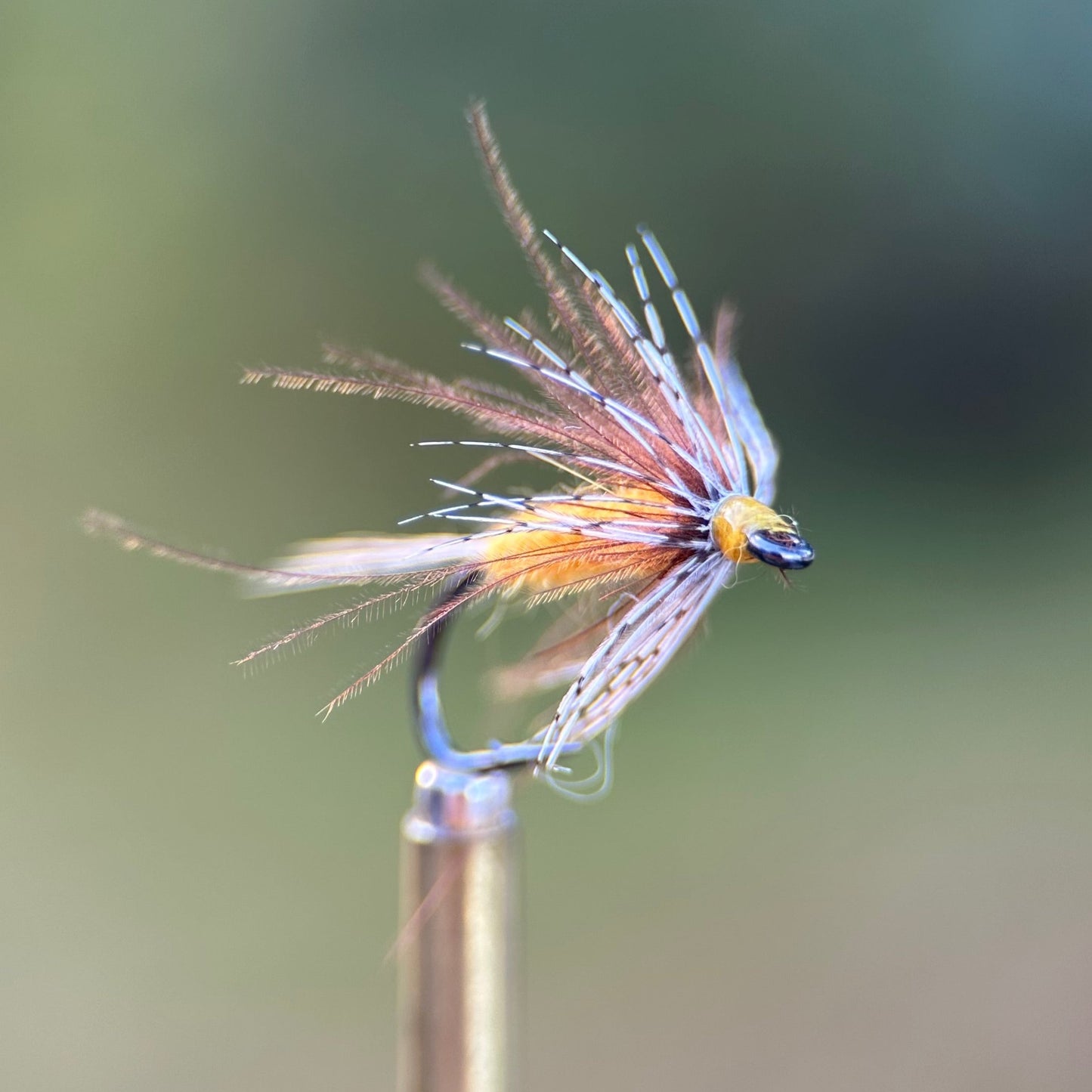 Sulphur soft hackle photo