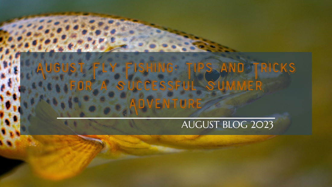 August Fly Fishing: Tips and Tricks for a Successful Summer Adventure
