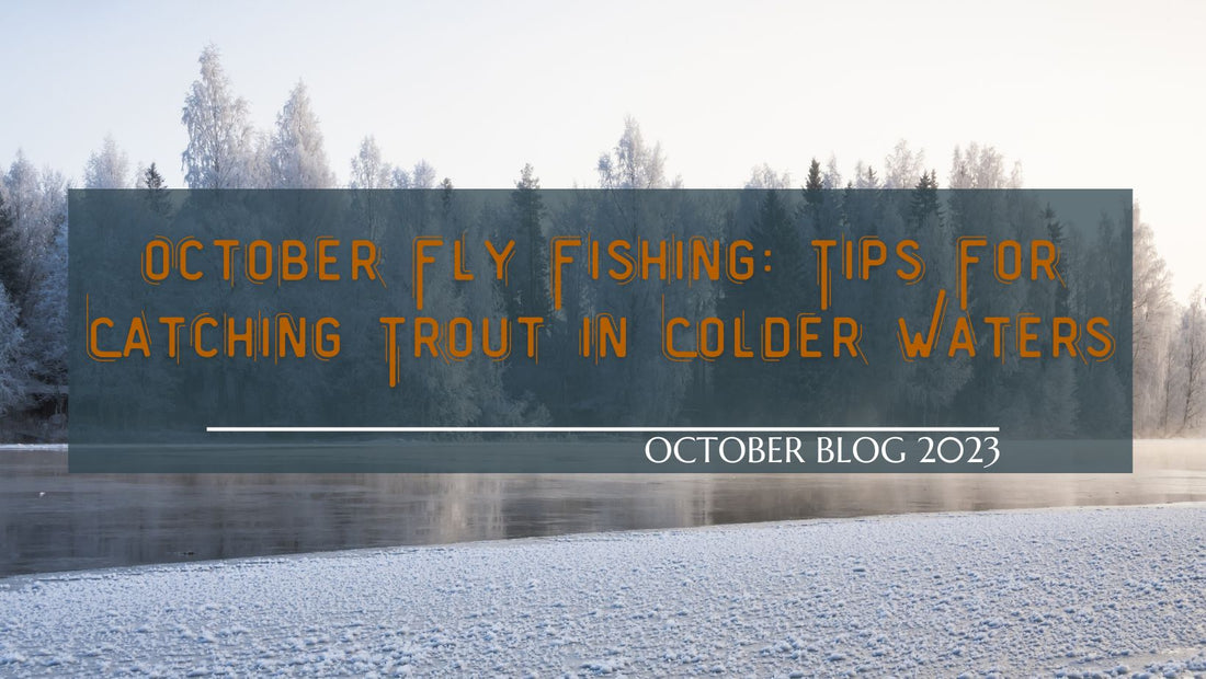 Tips For Catching Trout In Colder Waters