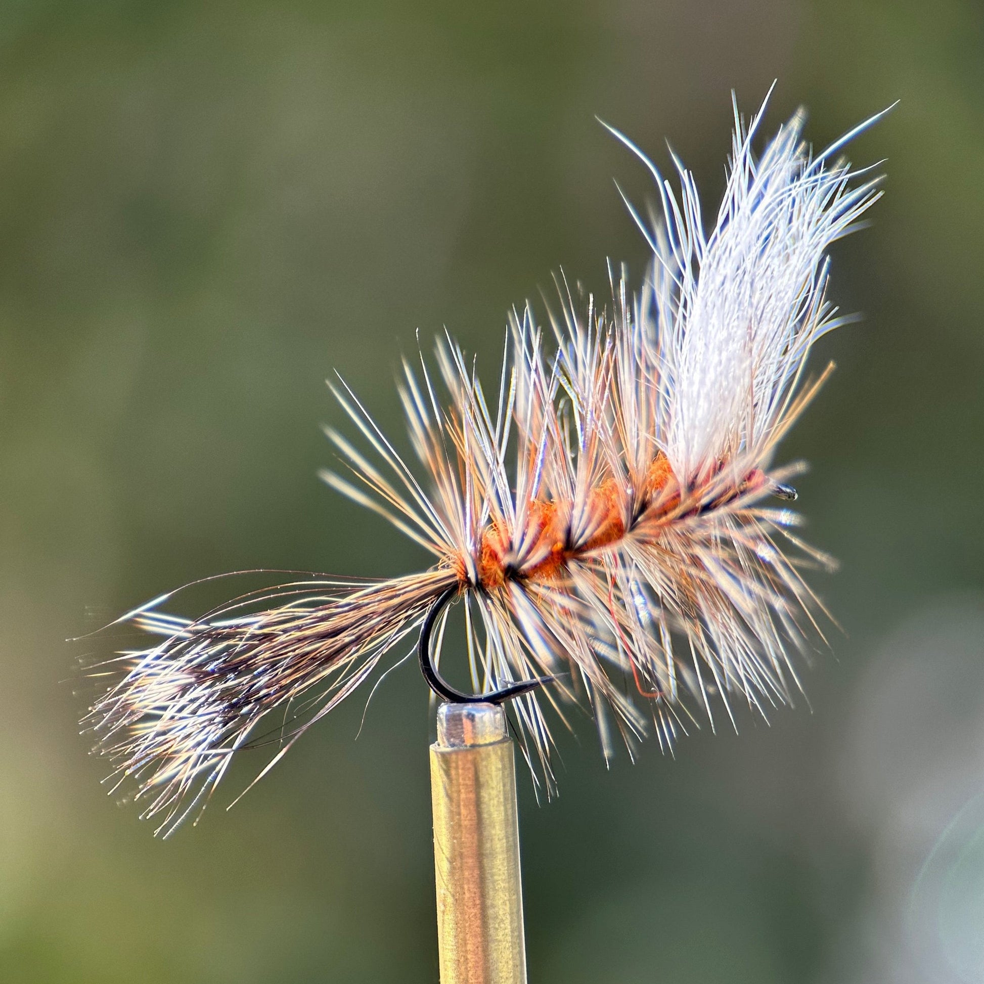 ausable bomber dry fly photo