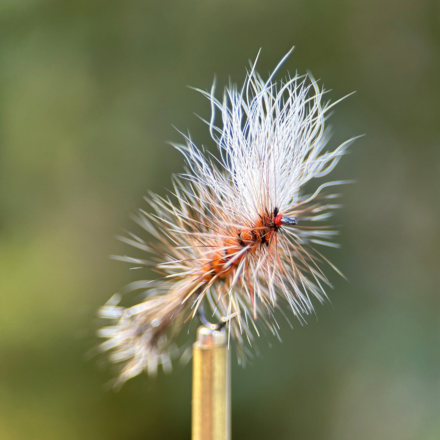 ausable bomber dry fly photo