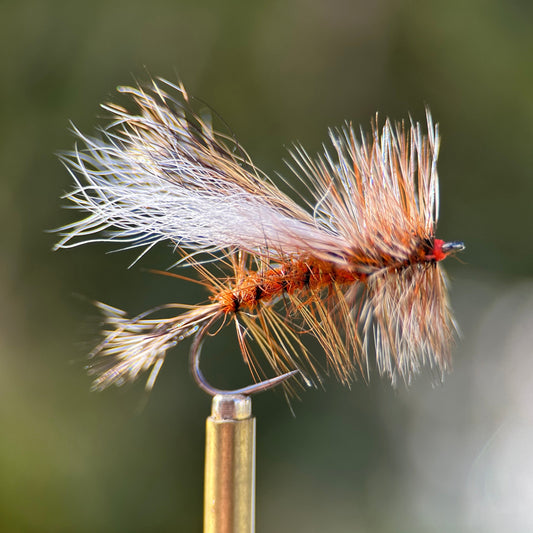 ausable stimulator dry fly photo