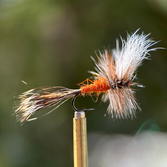 ausable wulff dry fly photo