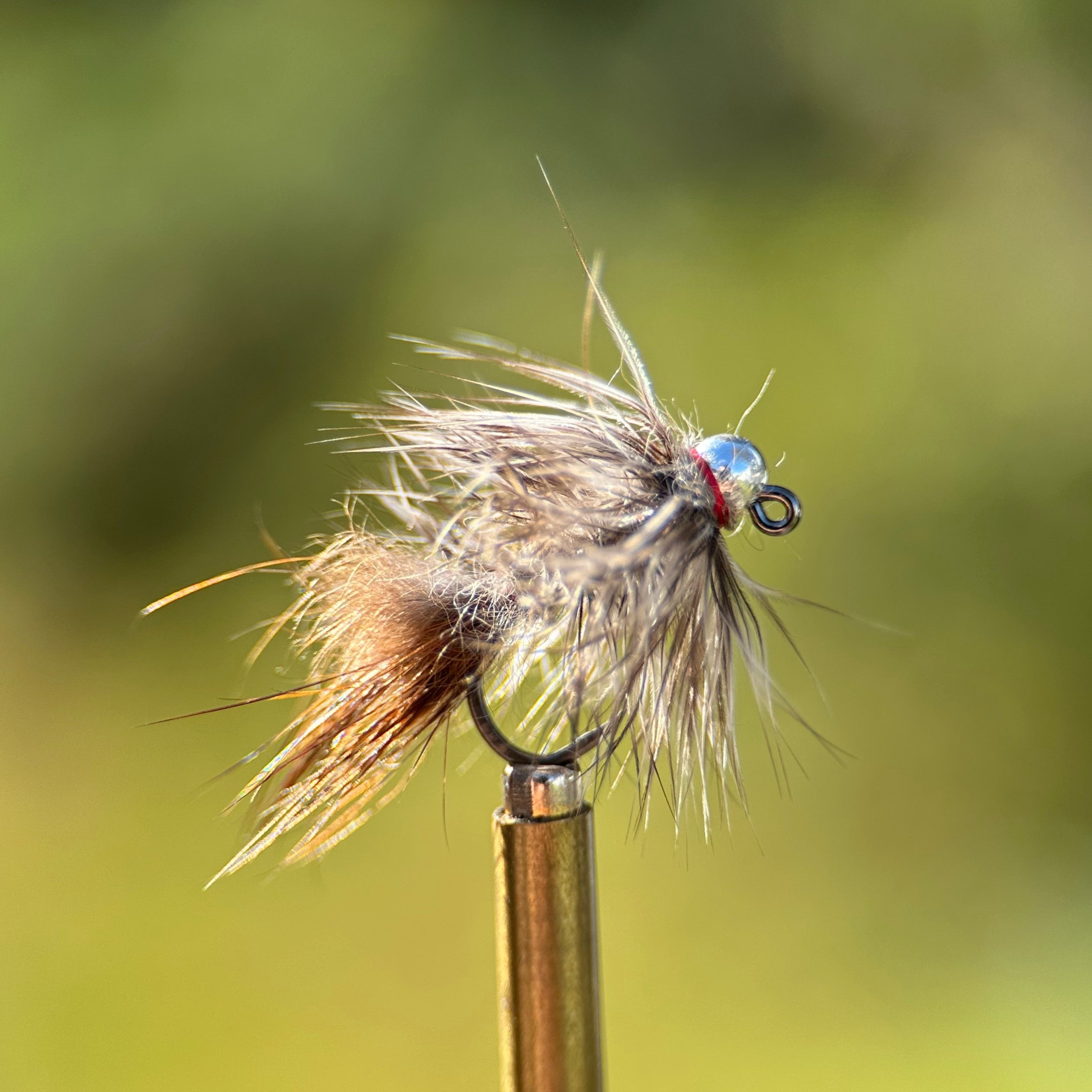 Ausable Ugly Euro Nymph - 3 Pack | Richard Garfield | Fly Fishing ...