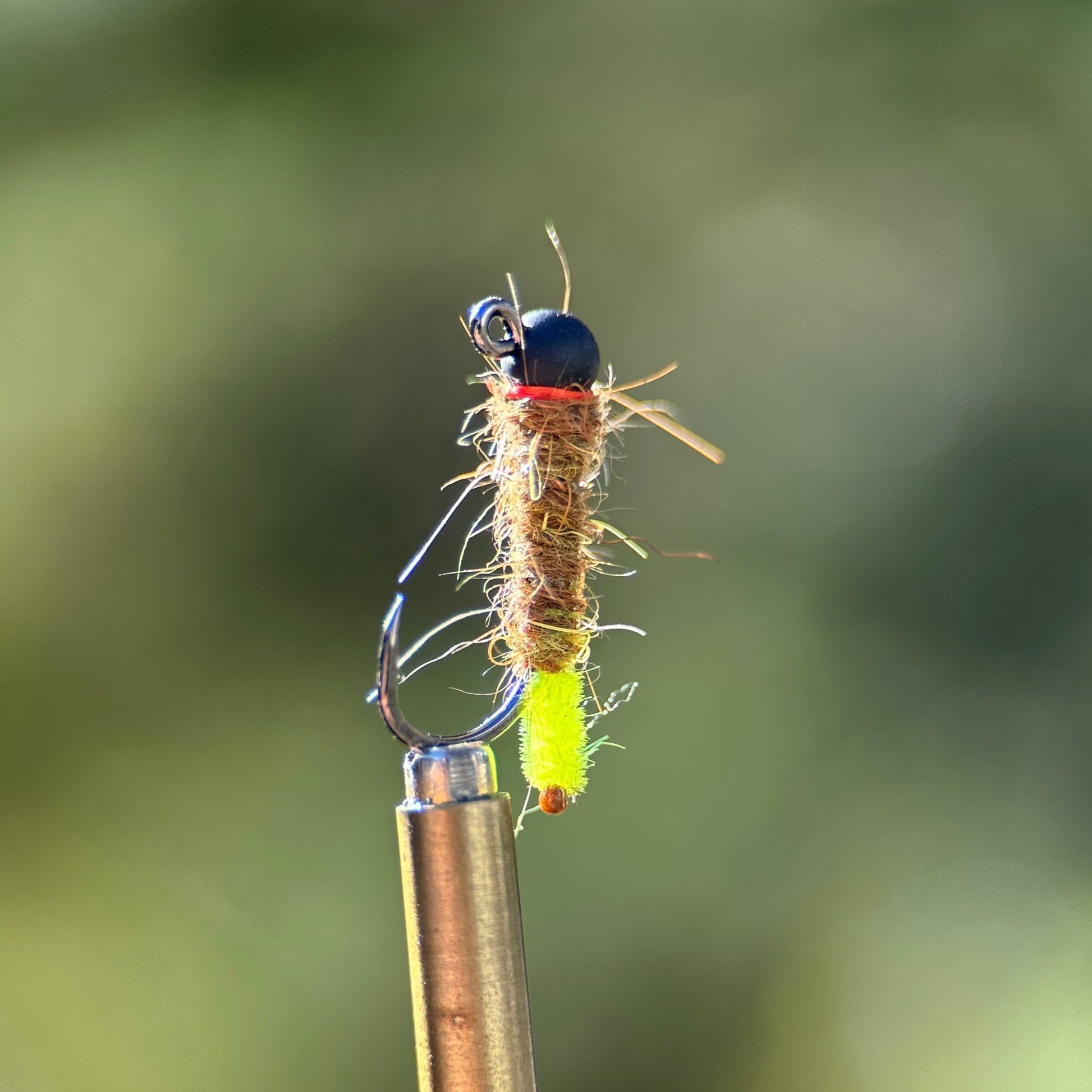 euro style peeping caddis nymph photo