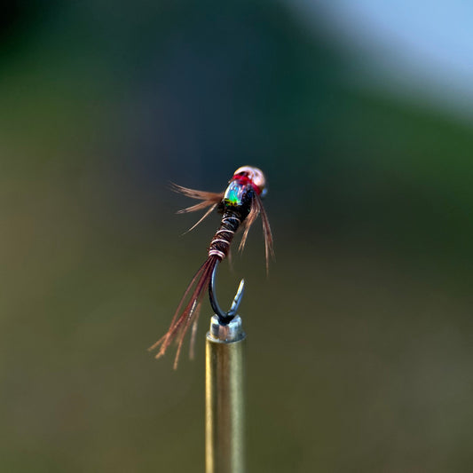 euro style pheasant tail photo 