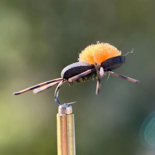 foam beetle dry fly photo