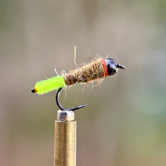 peeping caddis tungsten