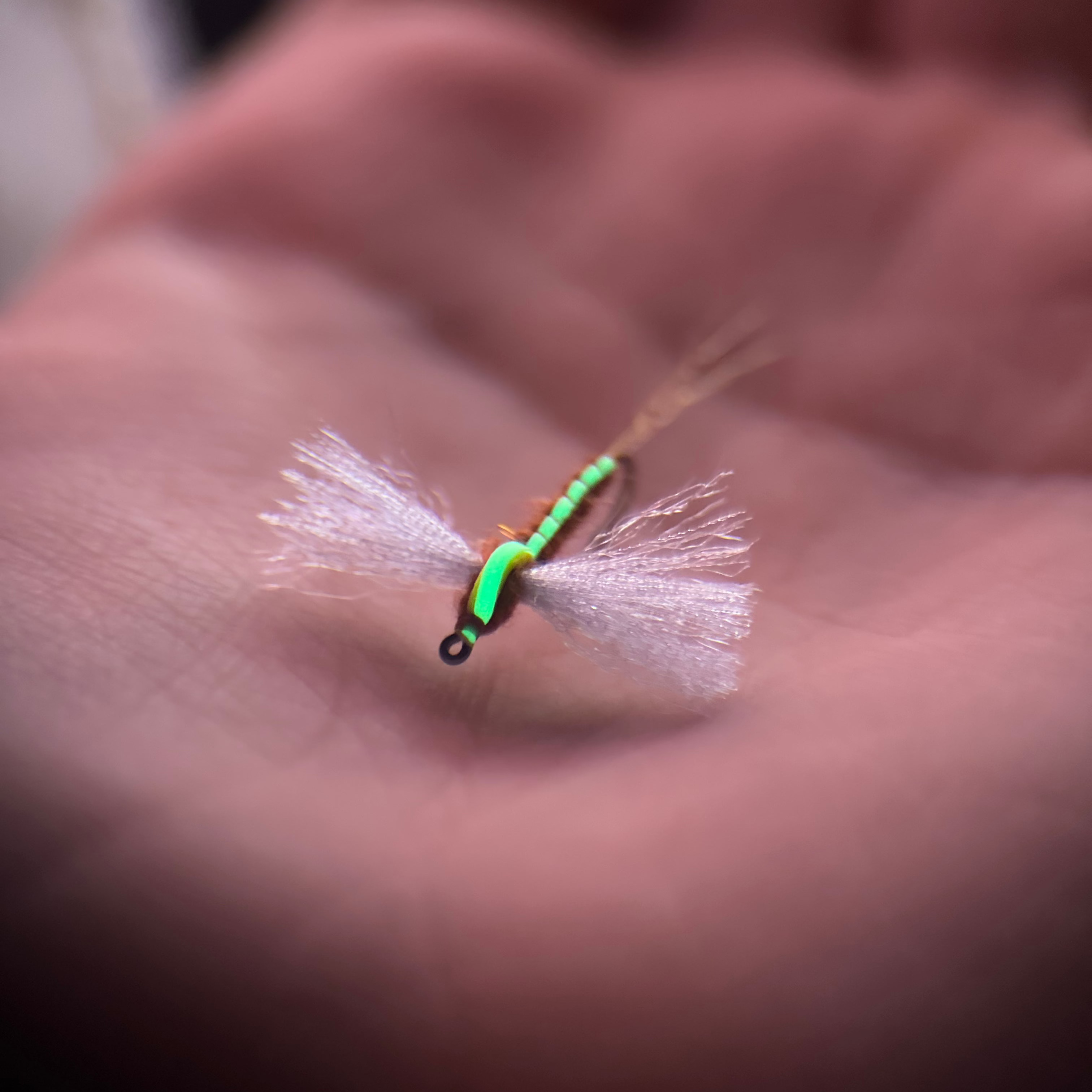 glow in the dark rusty spinner in hand