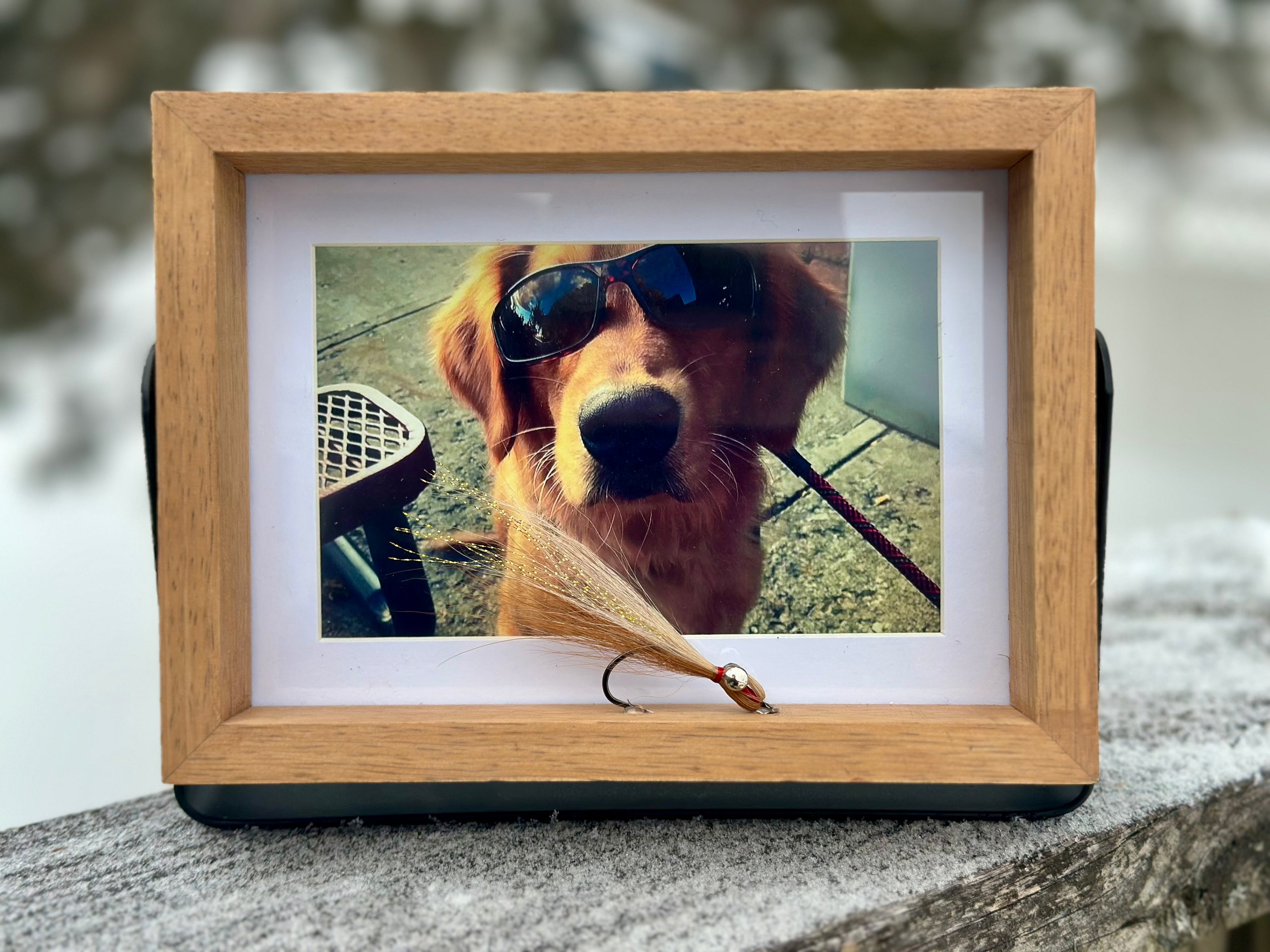 dog photo in picture frame with custom fly inside