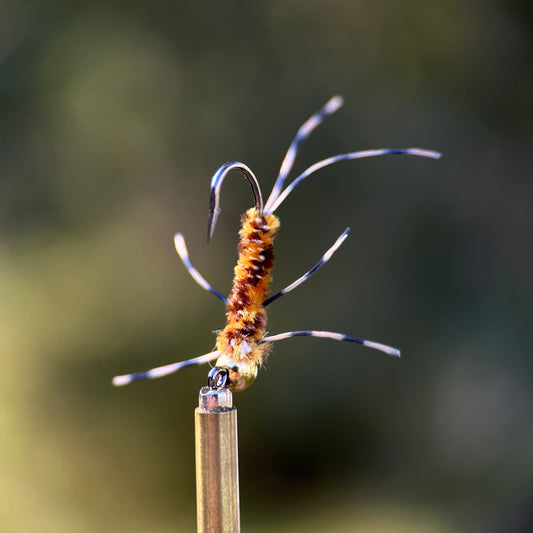 light colored euro style girdle bug nymph photo