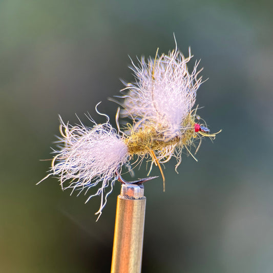 olive colored usual dry fly photo