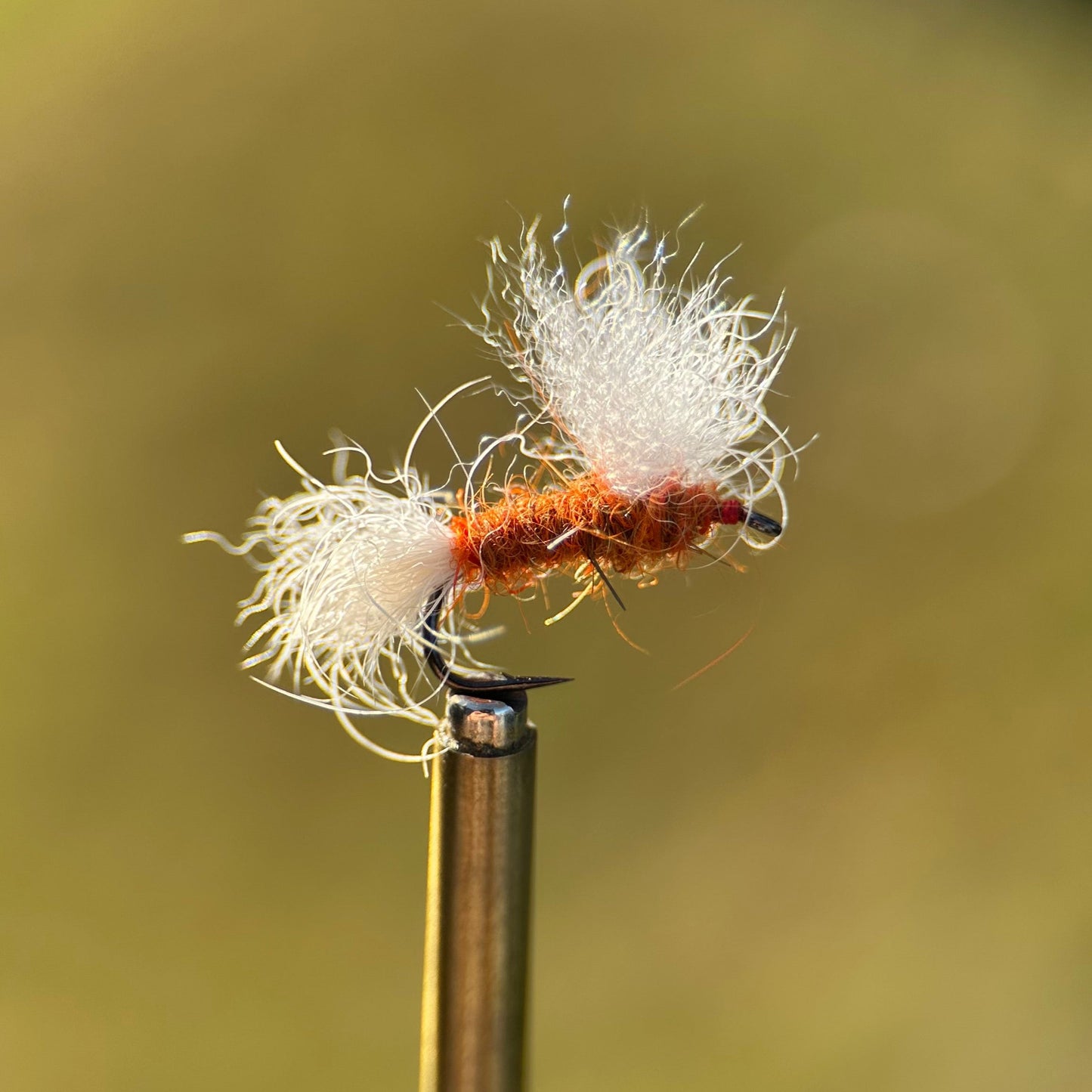 rusty usual dry fly photo