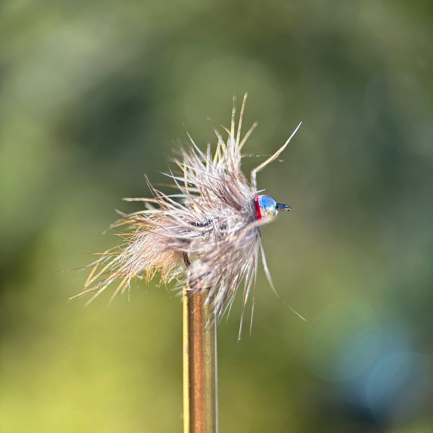 standard ausable ugly nymph photo