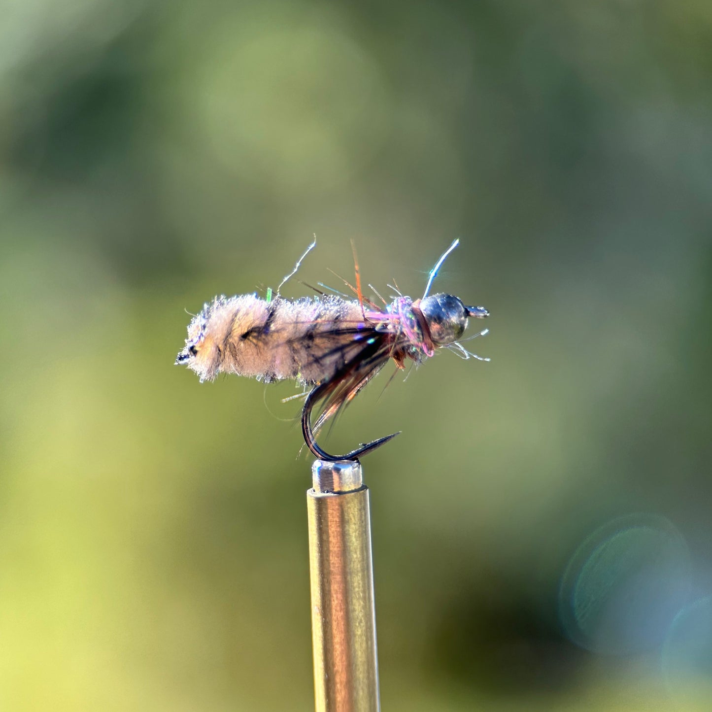 standard tan colored mop fly photo