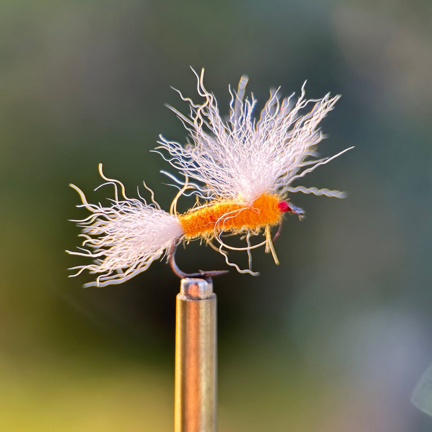 sulphur usual dry fly photo