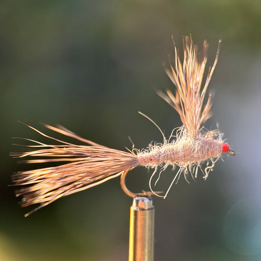 tan colored ausable haystack dry fly photo