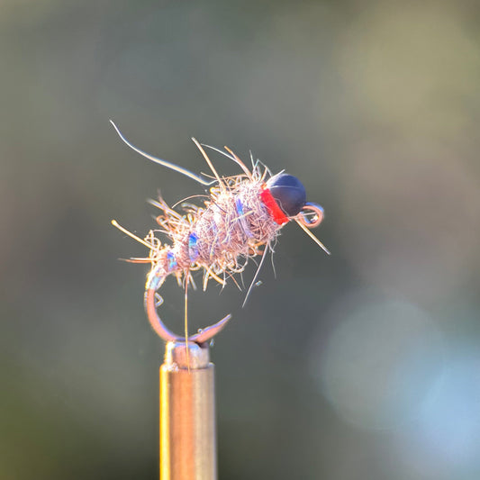 tan colored sexy walts nymph photo